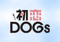 村井の恋 DVD-BOX〈3枚組〉 村井の恋／DVD-BOX（TBSオリジナル特典付き・送料無料・3枚組