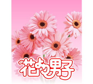 花より男子 | HBCショッピング