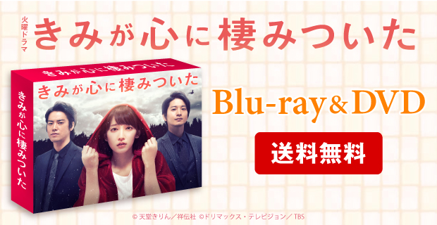きみが心に棲みついた／DVD-BOX（送料無料・6枚組） | TBS
