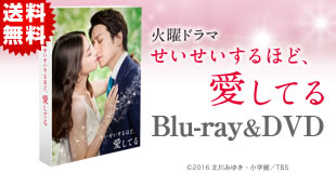 せいせいするほど、愛してる　ＤＶＤ－ＢＯＸ せいせいするほど、愛してる／DVD-BOX（送料無料・7枚組