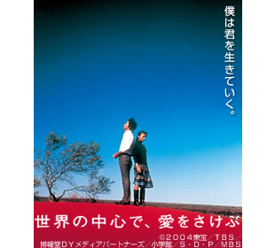 世界の中心で、愛をさけぶ DVD 全6巻 世界の中心で、愛をさけぶ／スタンダード・エディション／DVD