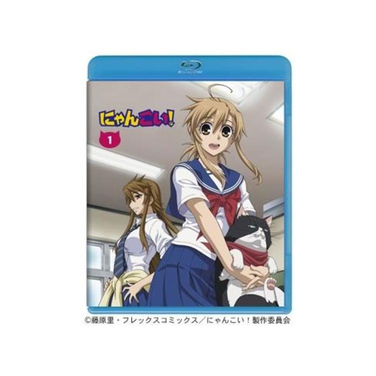 にゃんこい 1巻 Blu Ray 初回限定版 mbsショッピング にゃんこい 1巻 Blu Ray 初回限定版 mbsショッピング