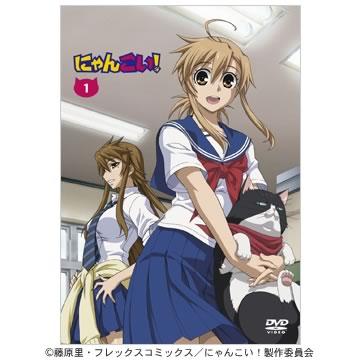 にゃんこい！／1巻／DVD（初回限定版） | CBCショッピング