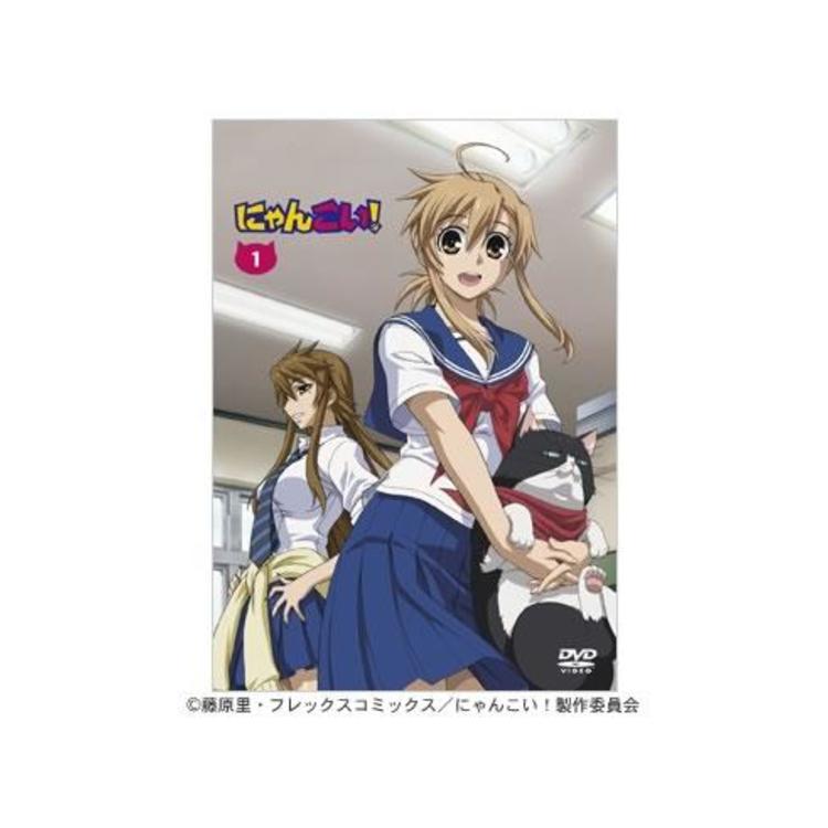 にゃんこい 1巻 Dvd 初回限定版 mbsショッピング にゃんこい 1巻 Dvd 初回限定版 mbsショッピング