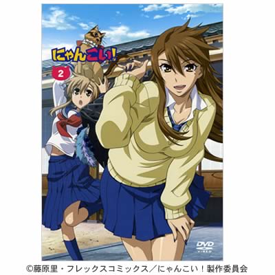 にゃんこい 2巻 Dvd 初回限定版 ｍｂｓショッピング