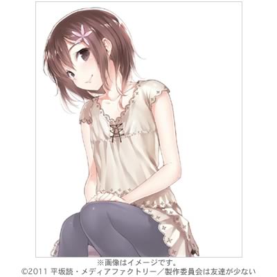 僕は友達が少ない　アニメDVD全巻セット 僕は友達が少ないNEXT／DVD／全巻購入セット（初回生産特典