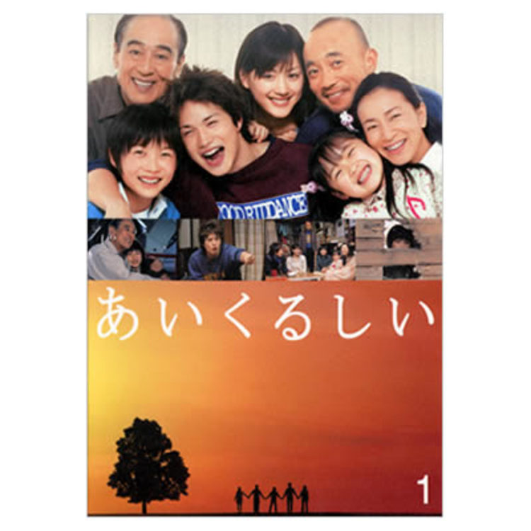 あいくるしい　DVD 6枚セット　市原隼人　綾瀬はるか あいくるしい／DVD-BOX | TBCショッピング