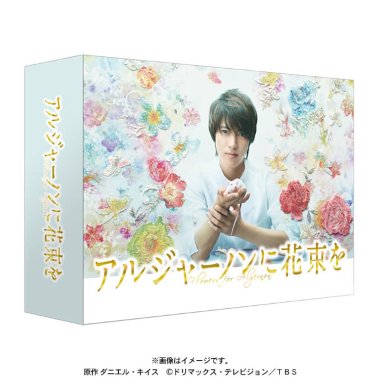 美品　新品未開封　アルジャーノンに花束を愛蔵版 アルジャーノンに花束を〔愛蔵版〕 | ダニエル キイス, 酒井駒子, 小尾