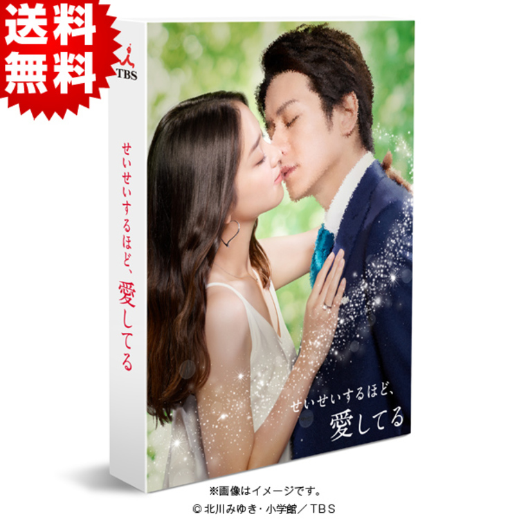 【希少！！】 せいせいするほど、愛してる／DVD-BOX（送料無料・7枚組 邦画・日本映画