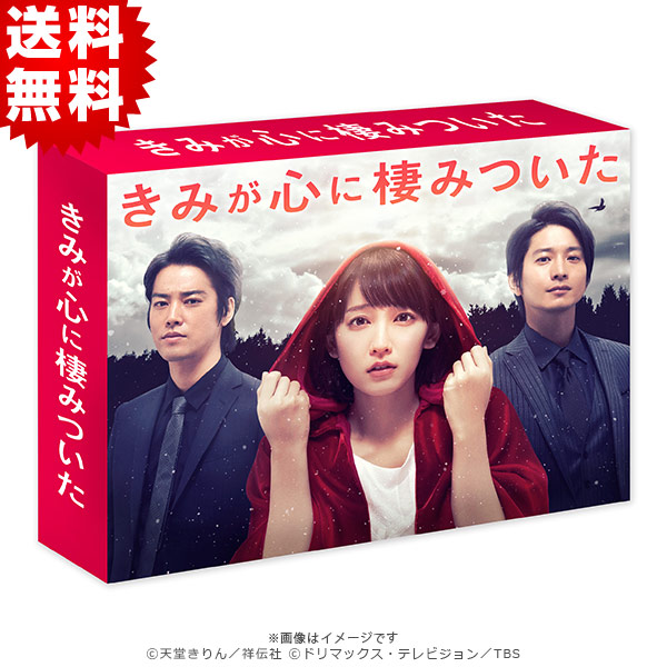 きみが心に棲みついた／Blu-ray BOX（送料無料・4枚組