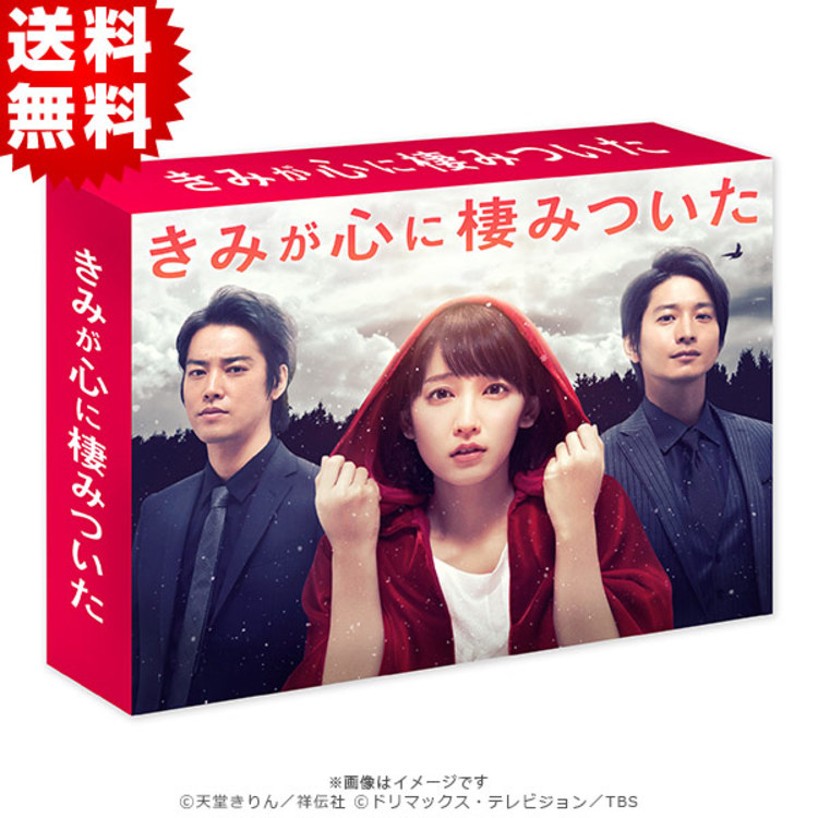 きみが心に棲みついた／Blu-ray BOX（送料無料・4枚組） | ＲＫＫ ...