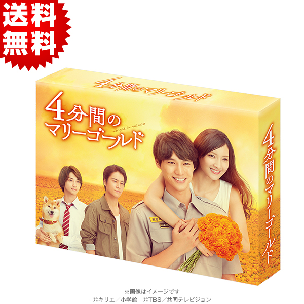 4分間のマリーゴールド Dvd Box 送料無料 6枚組 ｂｓｓショッピング