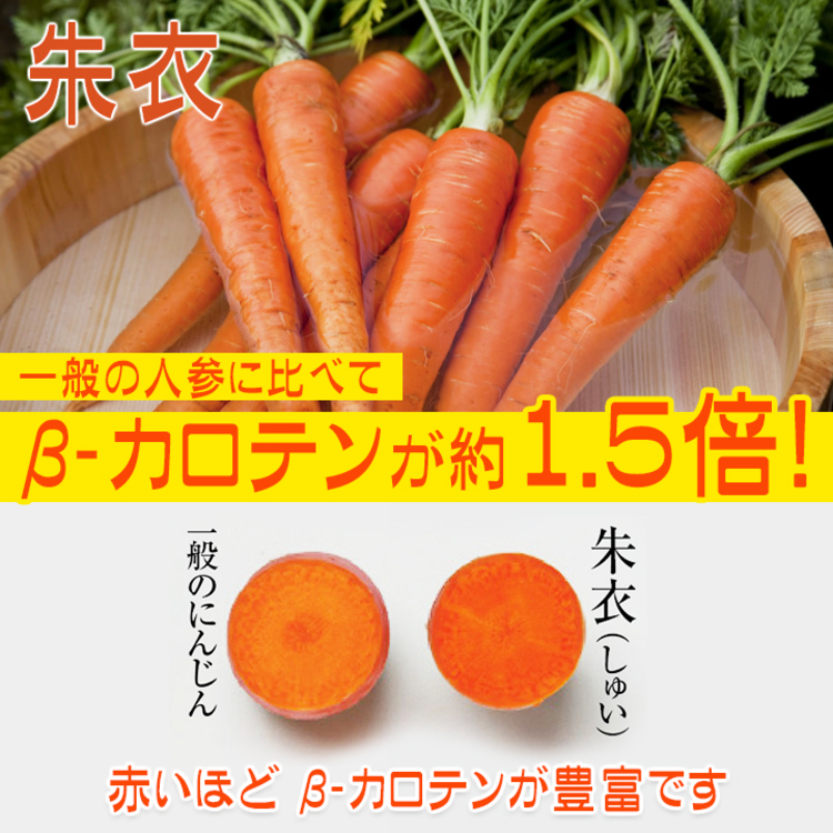 伊藤園「健康体」30品目野菜（缶）／160g×60本／機能性表示食品