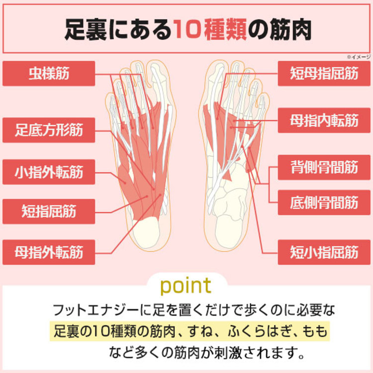 特別価格】保阪尚希監修 フットエナジー | ＢＳＳショッピング