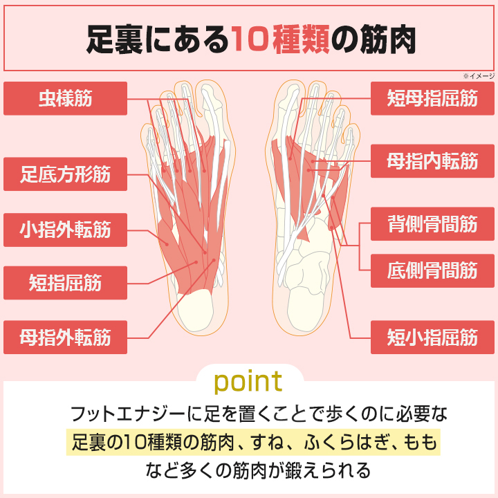 特別価格 保阪尚希監修 フットエナジー チューリップテレビ 特別価格 保阪尚希監修 フットエナジー チューリップテレビ