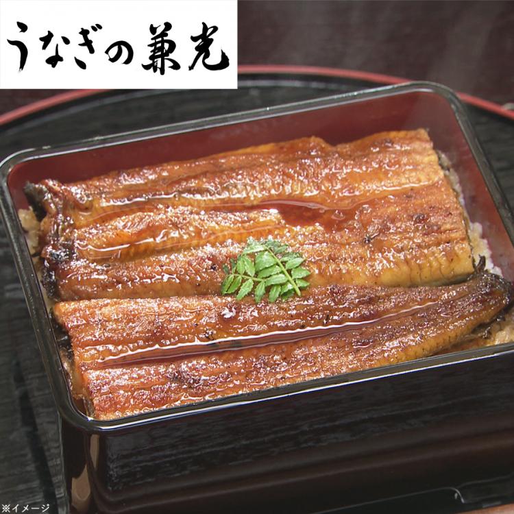 愛知三河産 兼光 訳ありうなぎ蒲焼 計500g 4 6尾 bssショッピング 愛知三河産 兼光 訳ありうなぎ蒲焼 計500g 4 6尾 bssショッピング