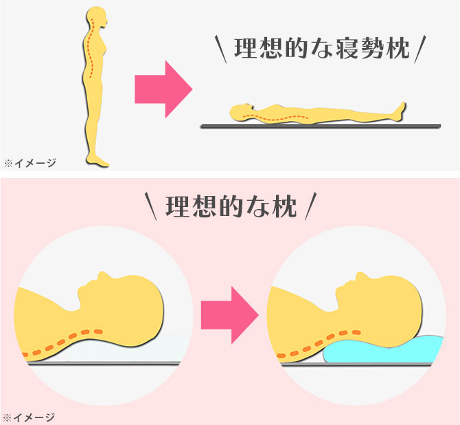 理想的な寝姿勢で快眠へと導く！