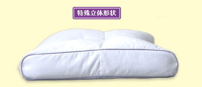 特別価格】西川 眠りすとリッチ/2個セット(枕カバー2枚+洗濯ネット1 特別価格】西川 眠りすとリッチ/2個セット(枕カバー2枚+洗濯ネット1