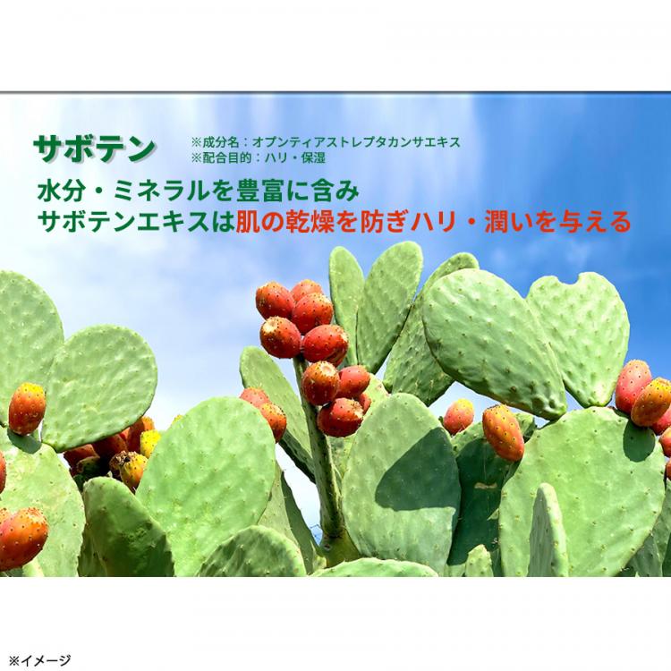 nopa（ノパ）ルースパウダー／北斗 晶プロデュース | RSKショッピング