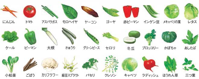 βカロテン豊富な「朱衣」
一般の人参に比べて約1.5倍のβカロテン「朱衣」を使用※
