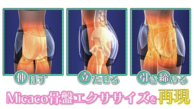 固くなった骨盤まわりを「伸ばす」「立たせる」「引き締める」の動きでサポートしてスッキリボディが目指せる！