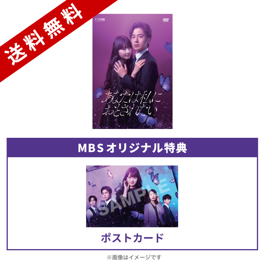 国内TVドラマDVD　あなたは私におとされたい DVD-BOX あなたは私におとされたい | MBSショッピング