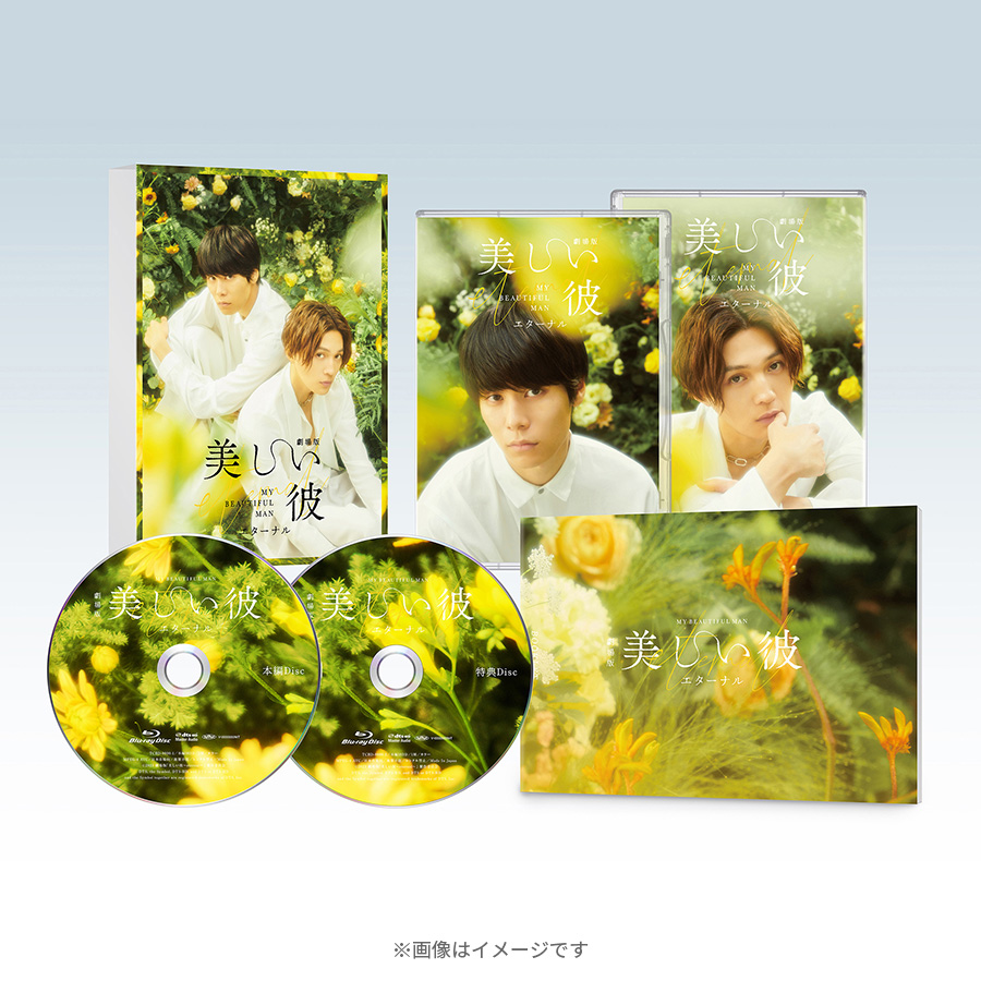 美しい彼 Blu-ray2組+パンフレットセット 美しい彼 シーズン2 ＆ ～special edit version～／Blu-ray BOX