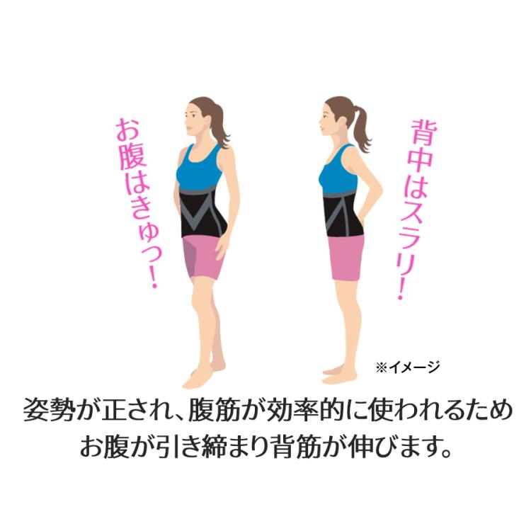 Vアップエクサ EMS体験　サイズL ヒロミプロデュース＞ Vアップエクサ／スタイルアップ／お腹用
