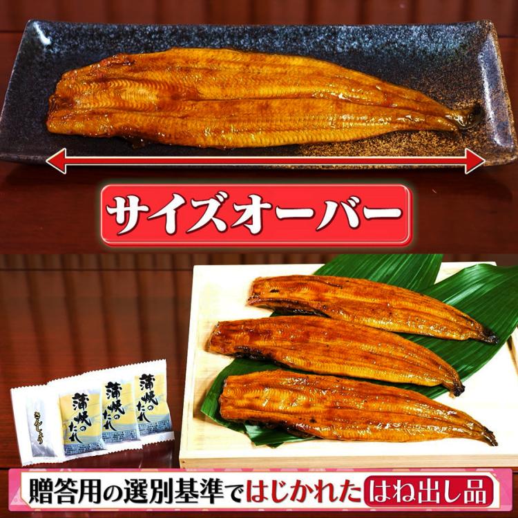 鹿児島県産 うなぎ長焼き／サイズ無選別／計800g（6尾