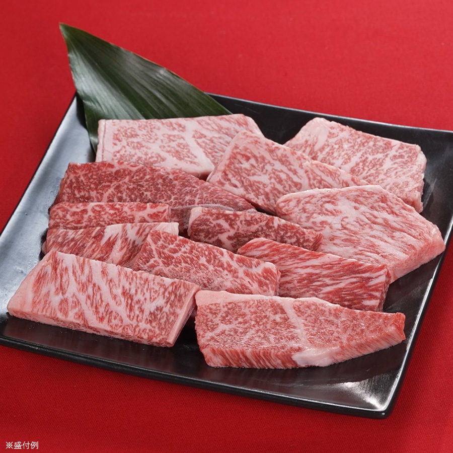 目貫牛 特別保存刀装具 蛇 図 目貫 短冊銘 岩本 (昆寛) 岩本昆寛は江戸
