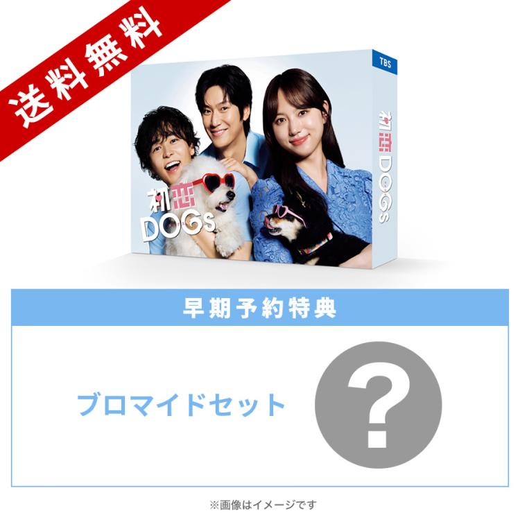 火曜ドラマ『初恋DOGs』／DVD-BOX（早期予約特典付き・送料無料