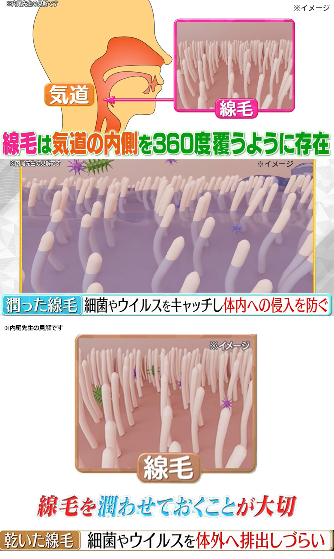 喉のイガイガ対策には
喉にある「線毛」を
常に潤しておくことが大事！