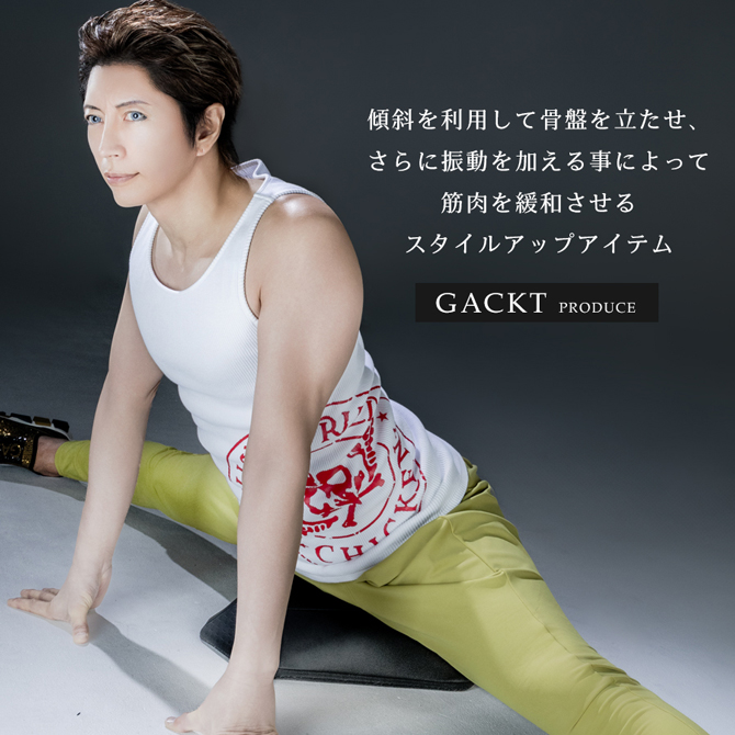 GACKTキレイプロジェクト
股関節の柔軟性をUPして美ボディを目指すストレッチアイテム