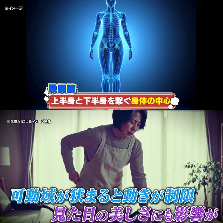エクストラクッション／GACKTプロデュース | MROショッピング