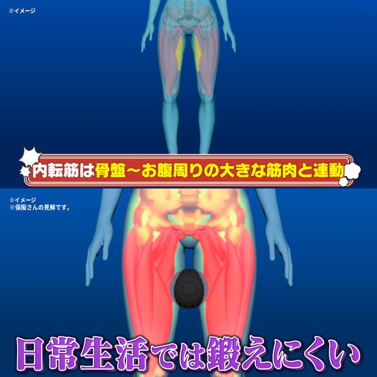 保阪尚希プロデュース キュッとボール／振動マシン | IBCショッピング