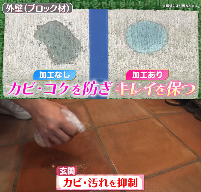 水が浸み込みカビなどで汚れやすい外壁にも